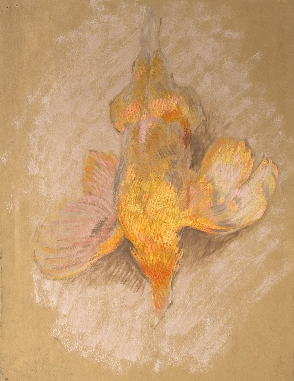 Studie van een vogel voor Highland Raiders, ca. 1918 door William Shackleton