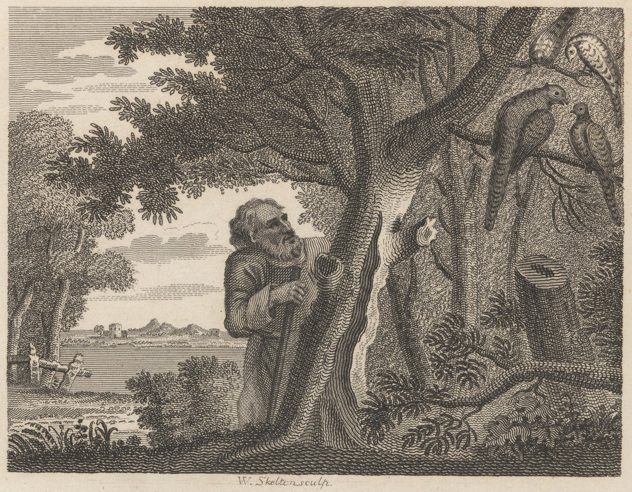 De filosoof en de fazanten door William Skelton