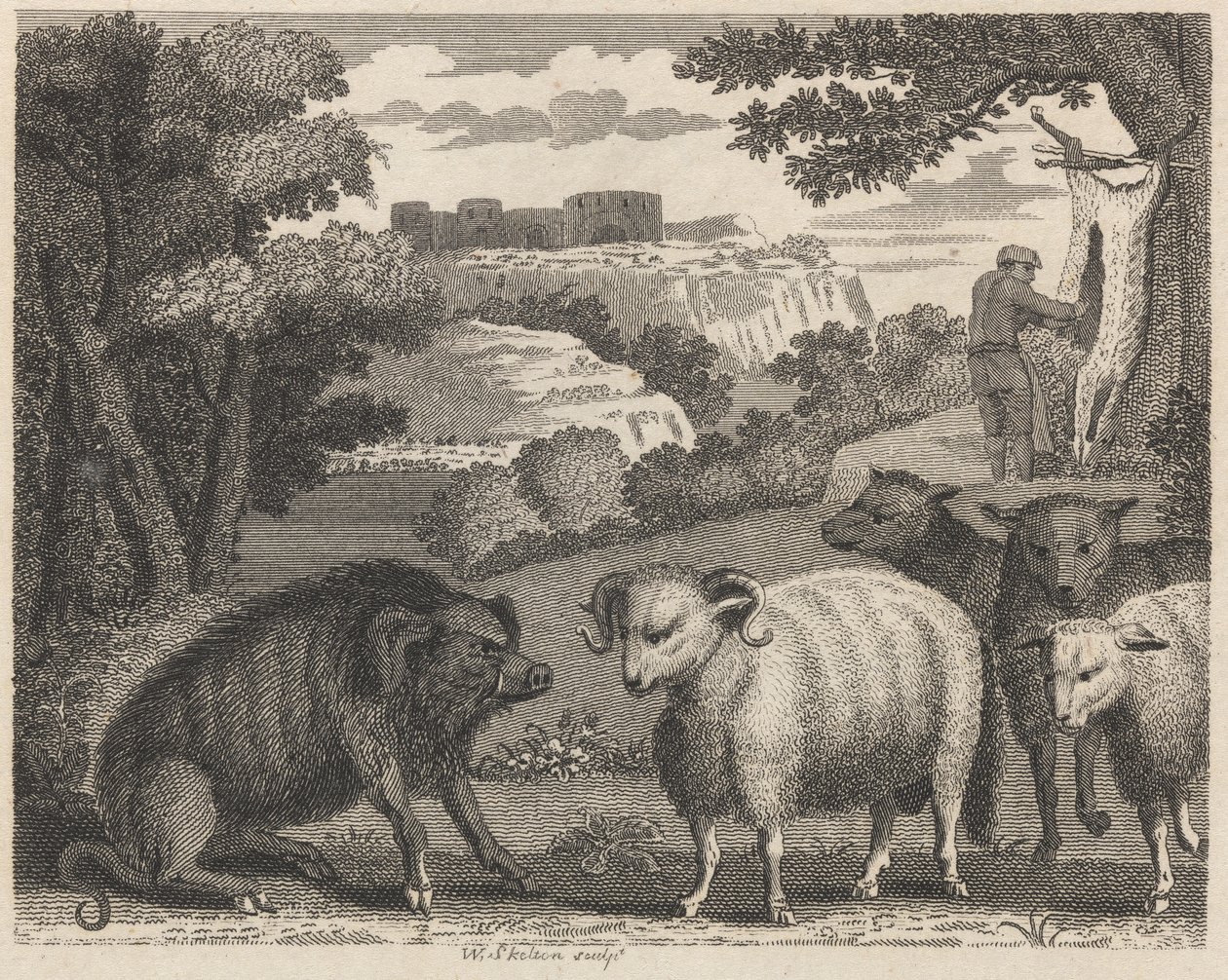 Het Wilde Zwijn en de Ram door William Skelton