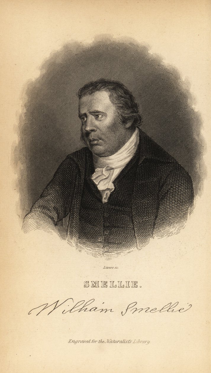 William Smellie, meesterdrukker, vertaler, natuurhistoricus, antiquair en encyclopedist door William Smellie