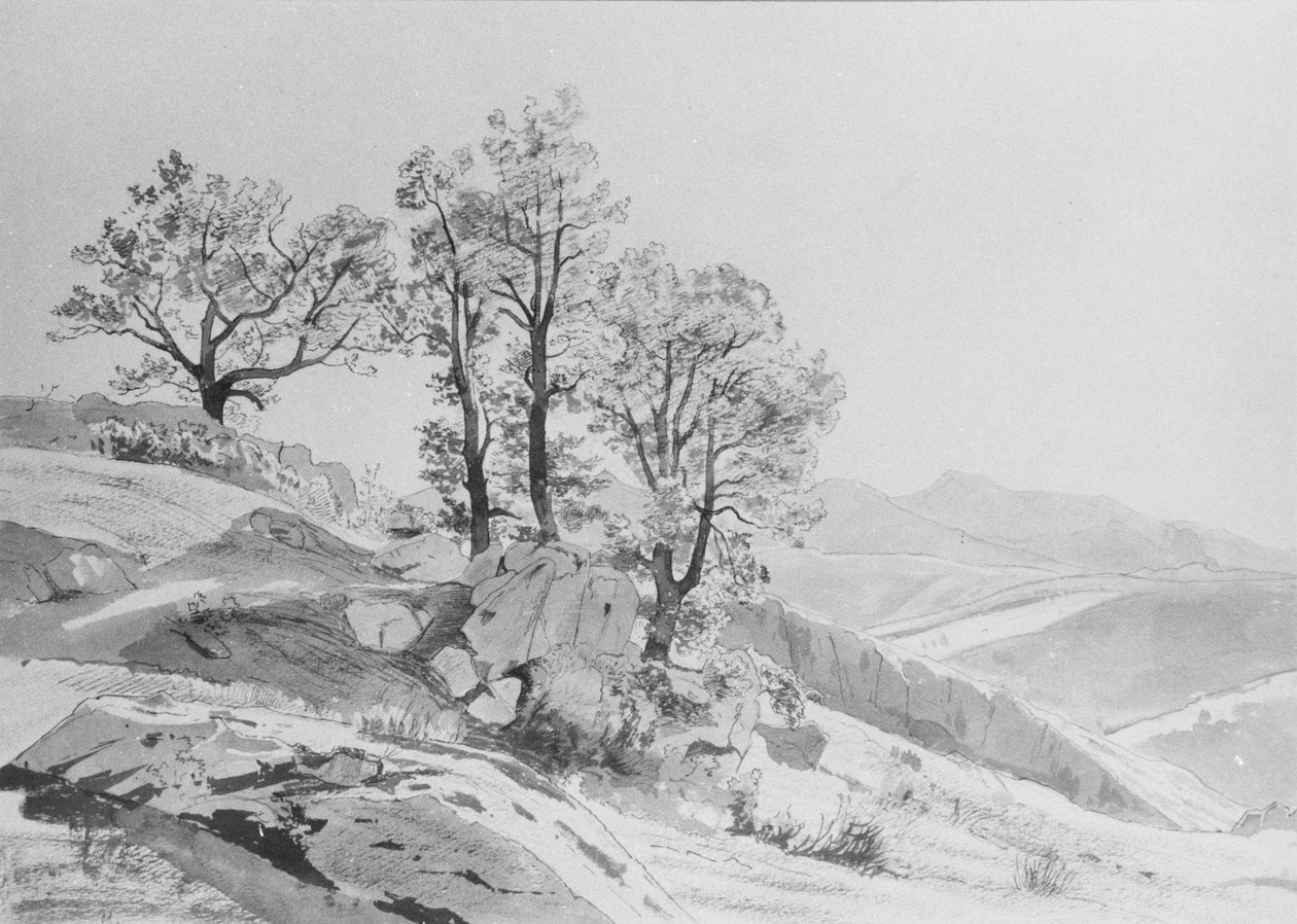 Olevano (Romeinse Campagna) door William Stanley Haseltine