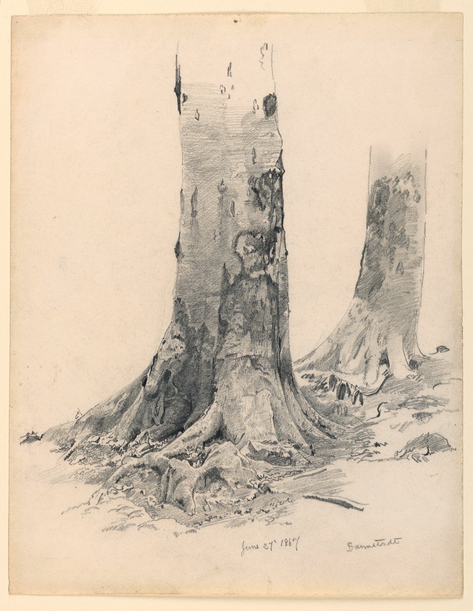Tekening, Boomstammen, Darmstadt, 27 juni 1867 door William Trost Richards