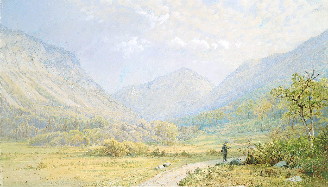 Franconia Notch, New Hampshire door William Trost Richards