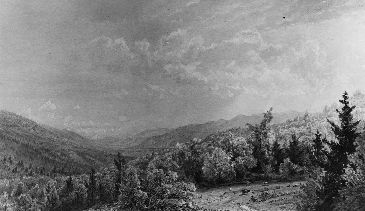Vanuit het Flume House, Franconia, New Hampshire, 1872 door William Trost Richards