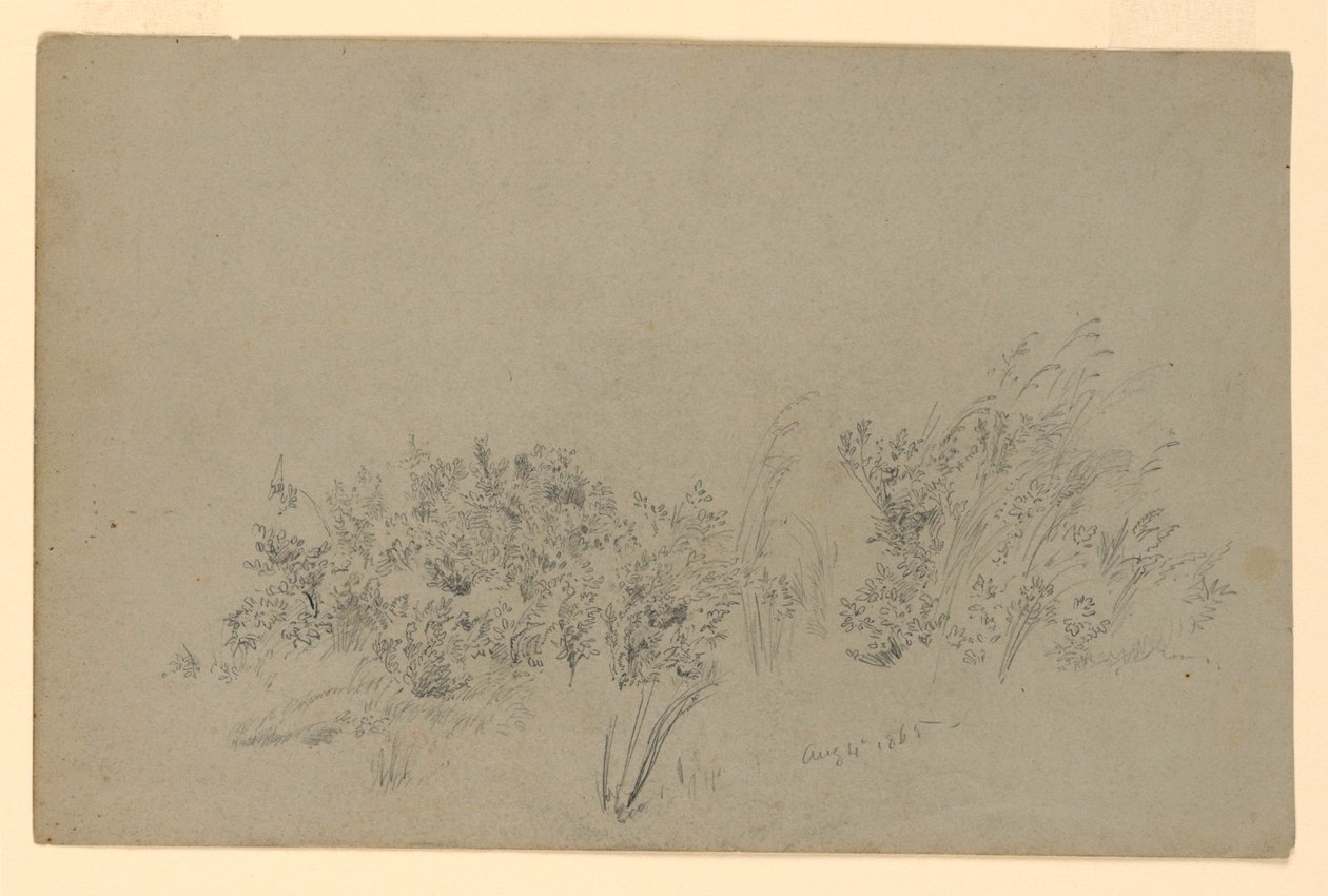 Studie van Bladgroen door William Trost Richards