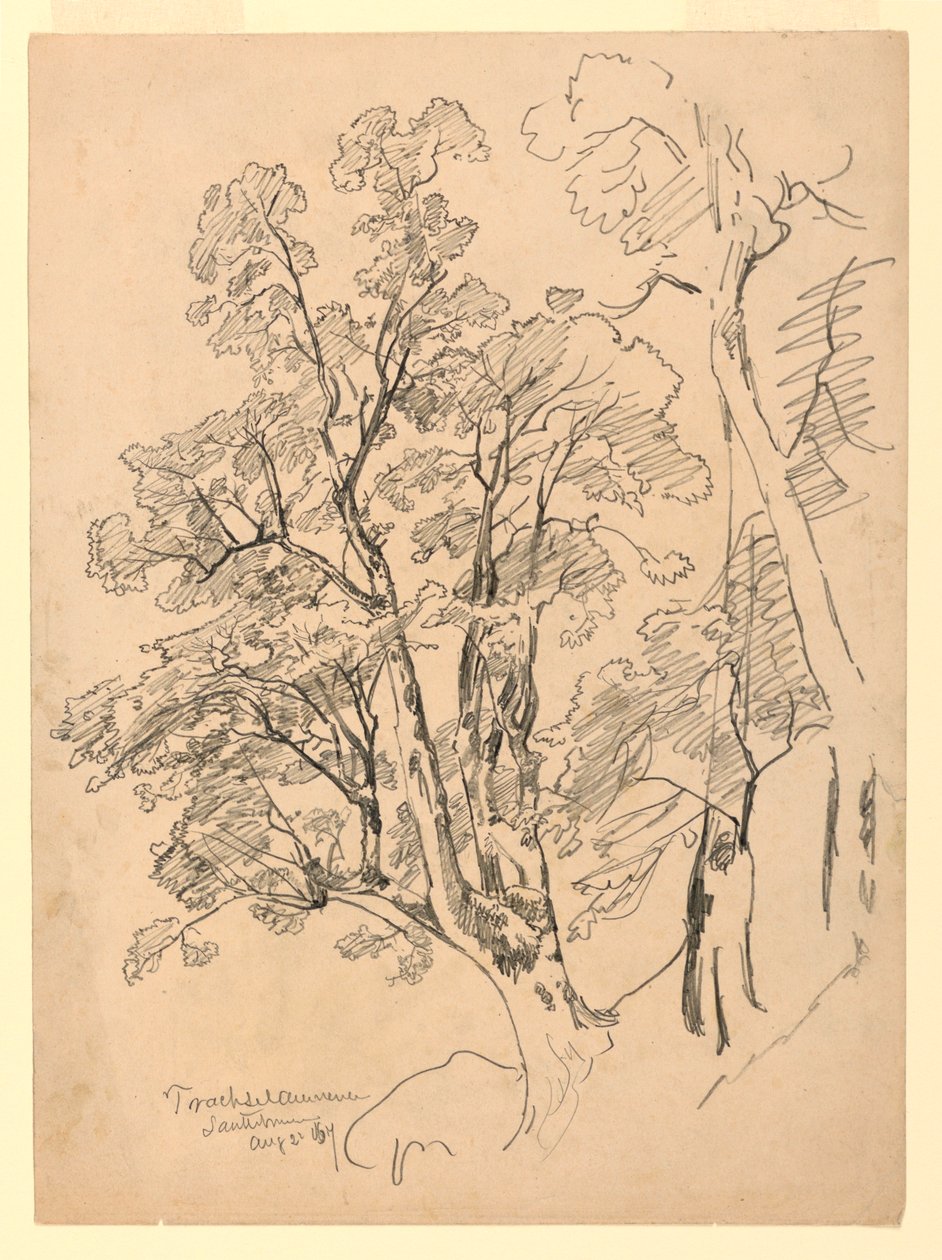 Studie van gebladerte, Trachselwald, Bern, Zwitserland door William Trost Richards