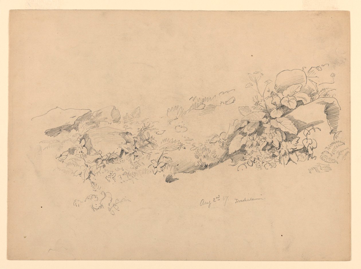 Studie van gebladerte, Trachselwald, Bern, Zwitserland door William Trost Richards