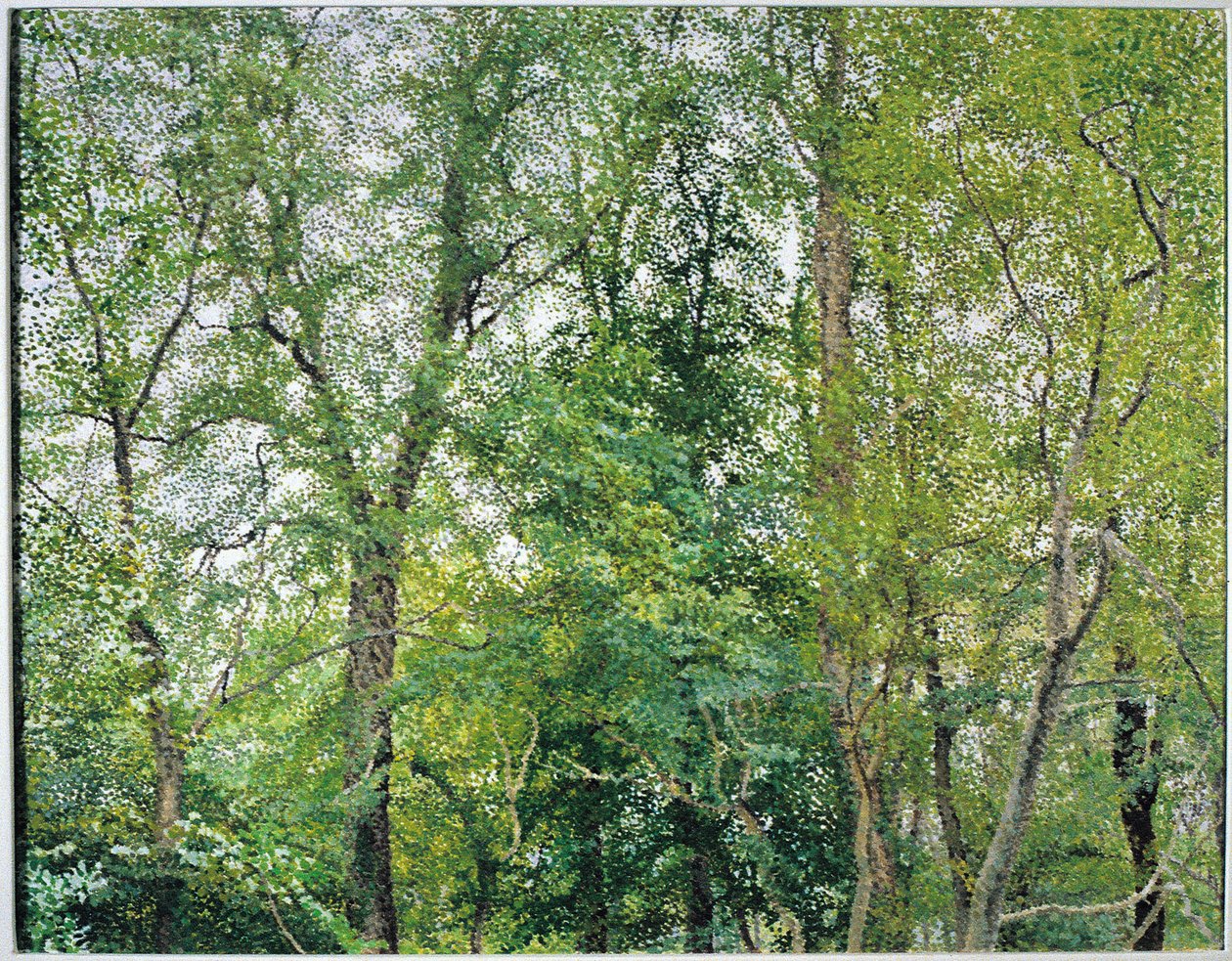 De Jubileumplantage door William Wilkins