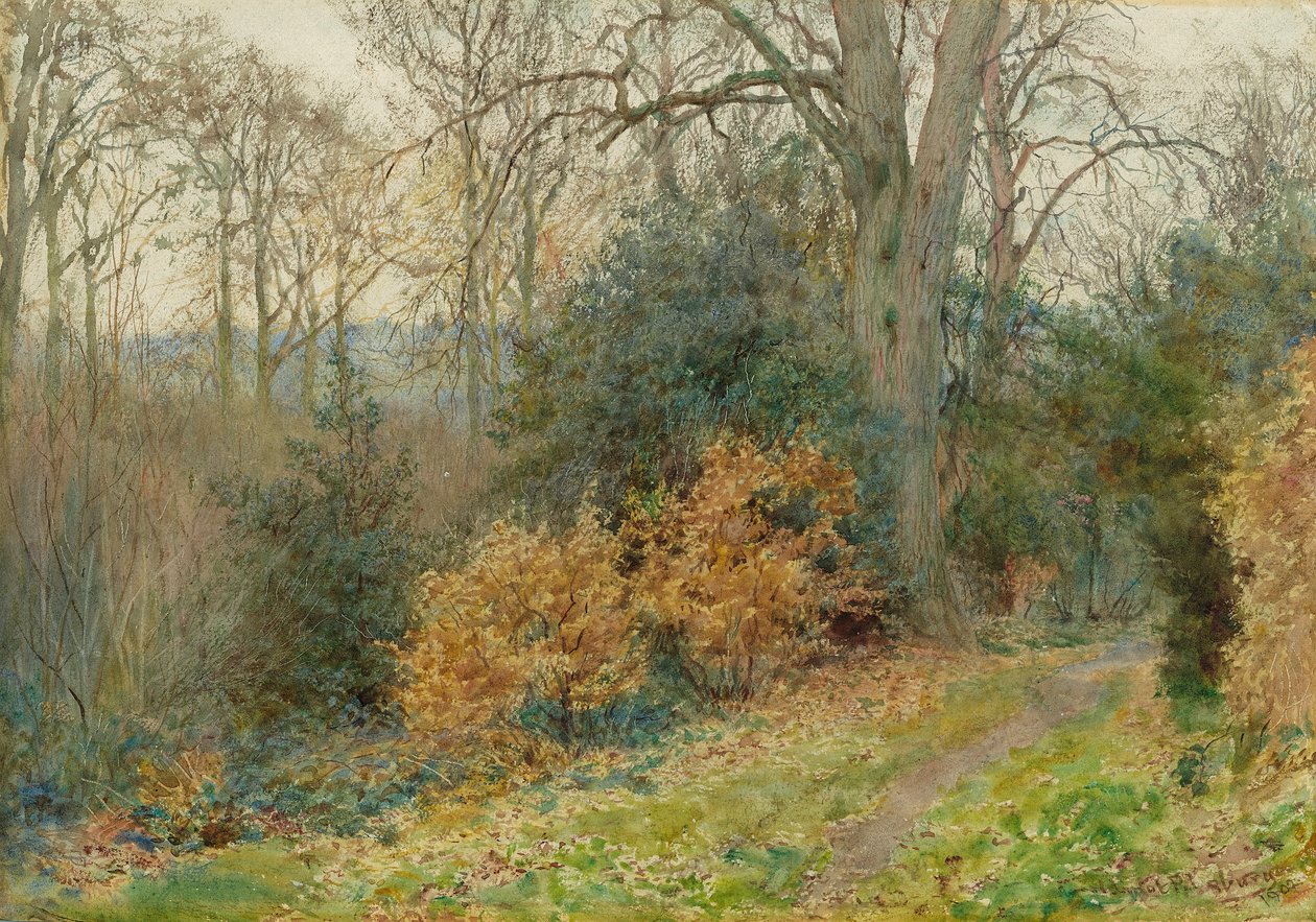 Pad Door het Bos, 1902 door Wilmot Pilsbury