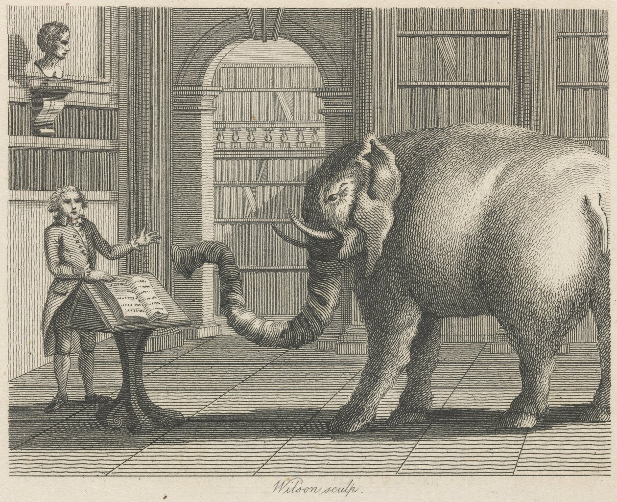 De olifant en de boekverkoper door Wilson