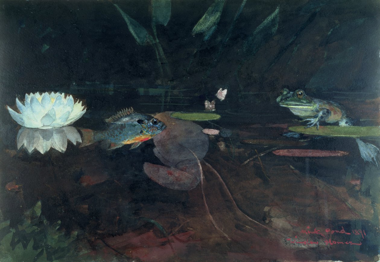 Minkvijver door Winslow Homer