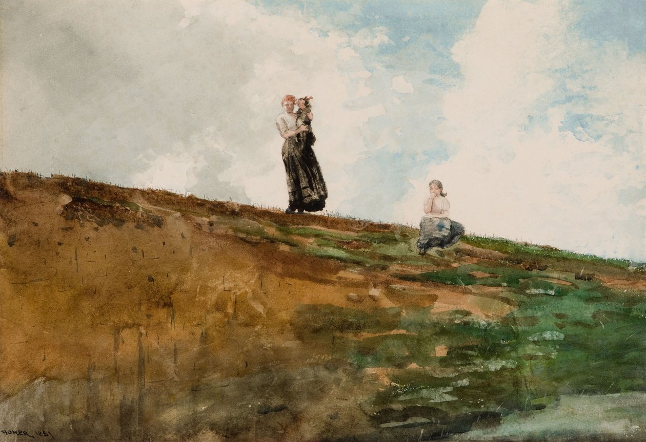 Kijken vanaf de Kliffen door Winslow Homer