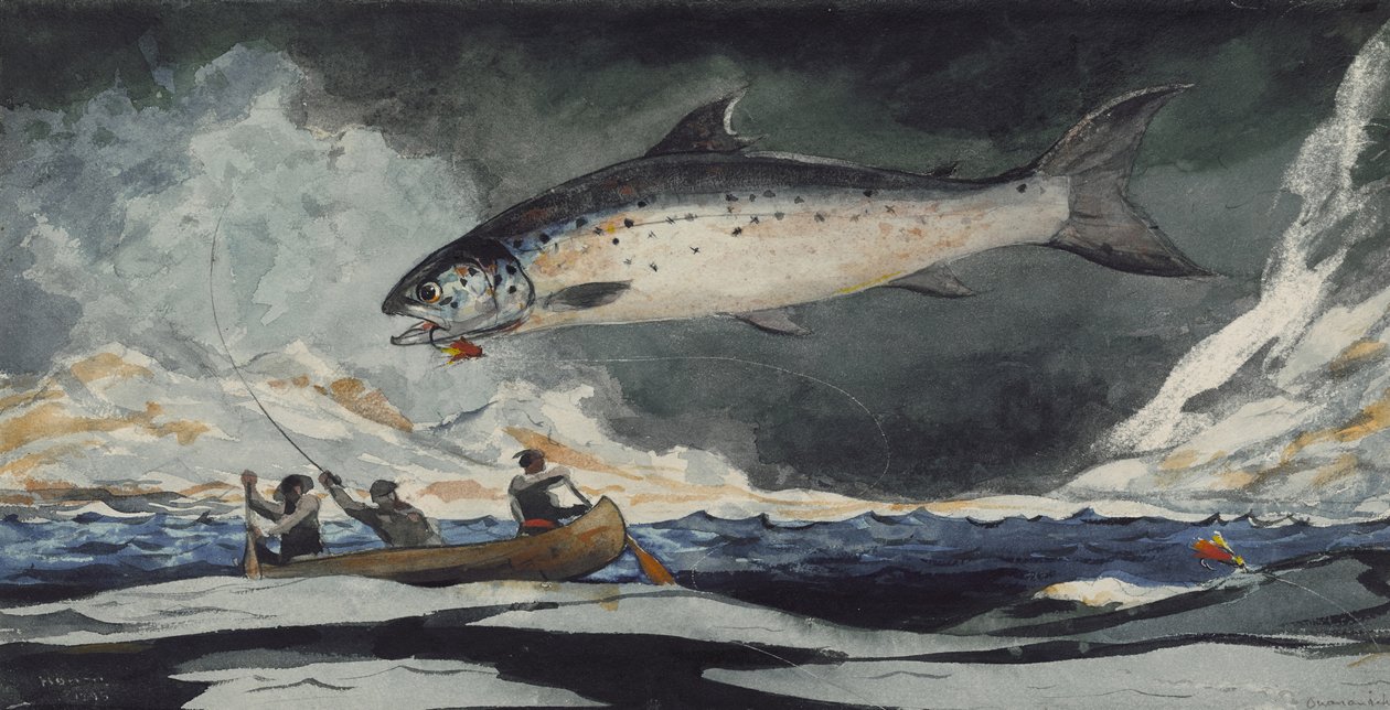 Een Goede Pool, Saguenay Rivier, 1895 door Winslow Homer