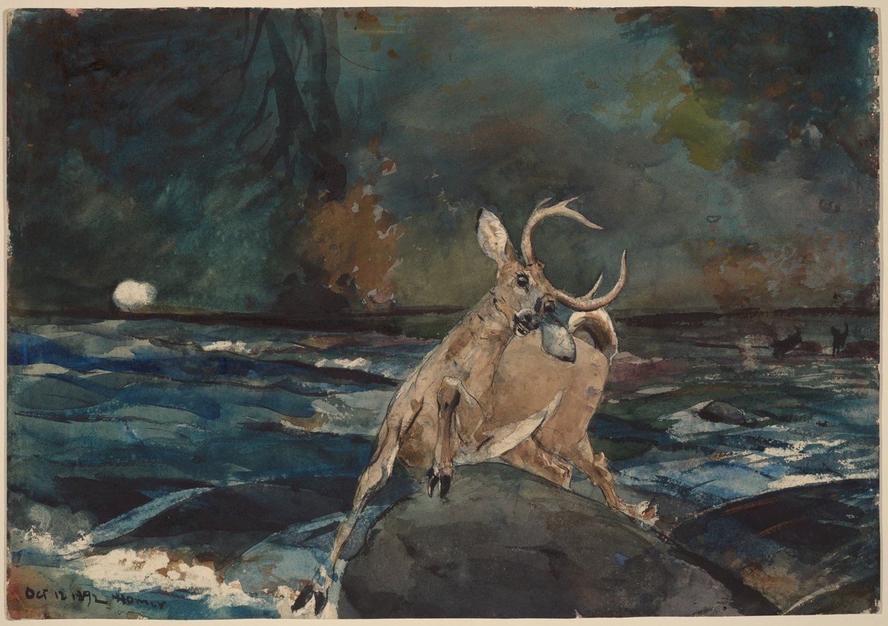 Een goed schot, Adirondacks door Winslow Homer