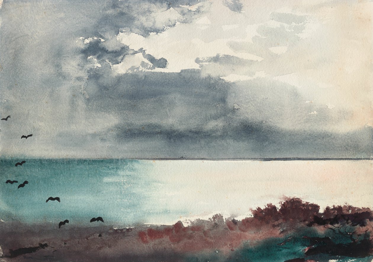 Brekende storm, kust van Maine door Winslow Homer