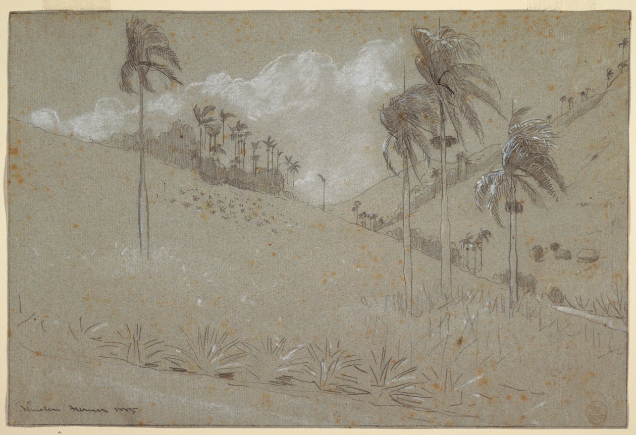 Tekening, Cubaanse helling, 1885 door Winslow Homer