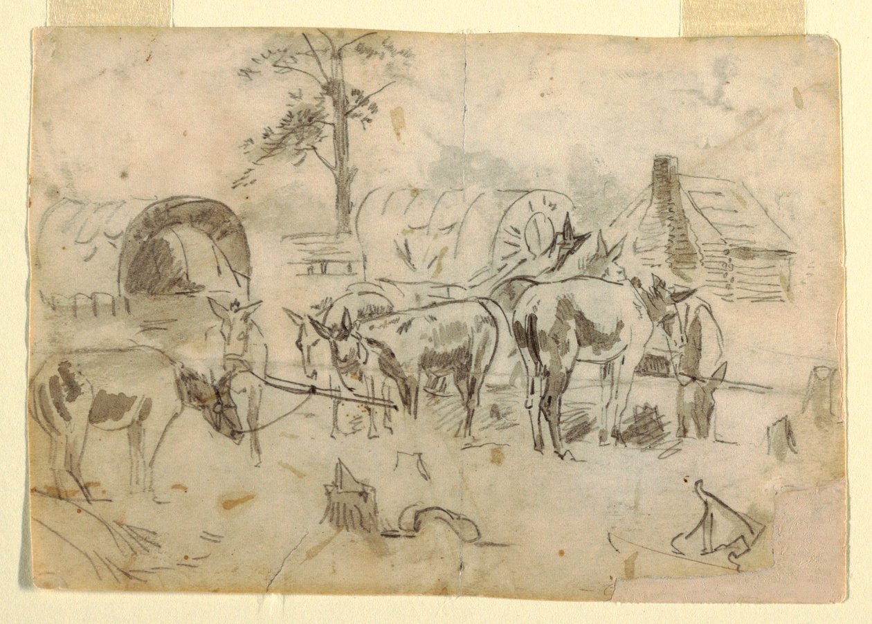 Tekening, rustende muilezels vastgebonden aan wagens, 1862 door Winslow Homer