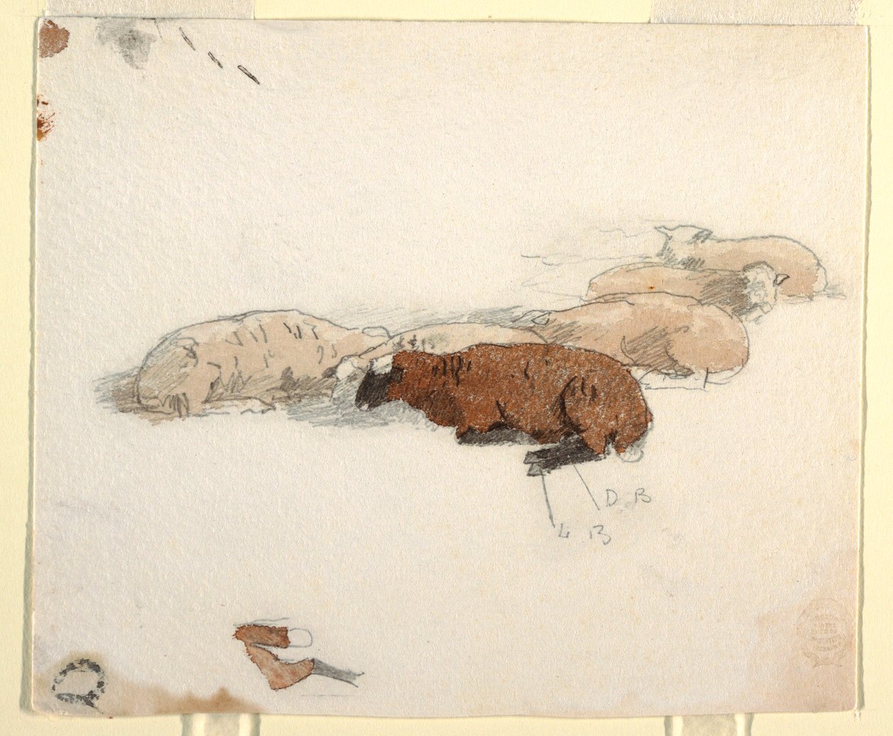 Tekening, Rustende schapen, 1878 door Winslow Homer