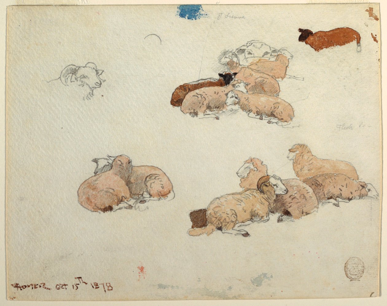 Tekening, Rustende schapen, 15 oktober 1878 door Winslow Homer