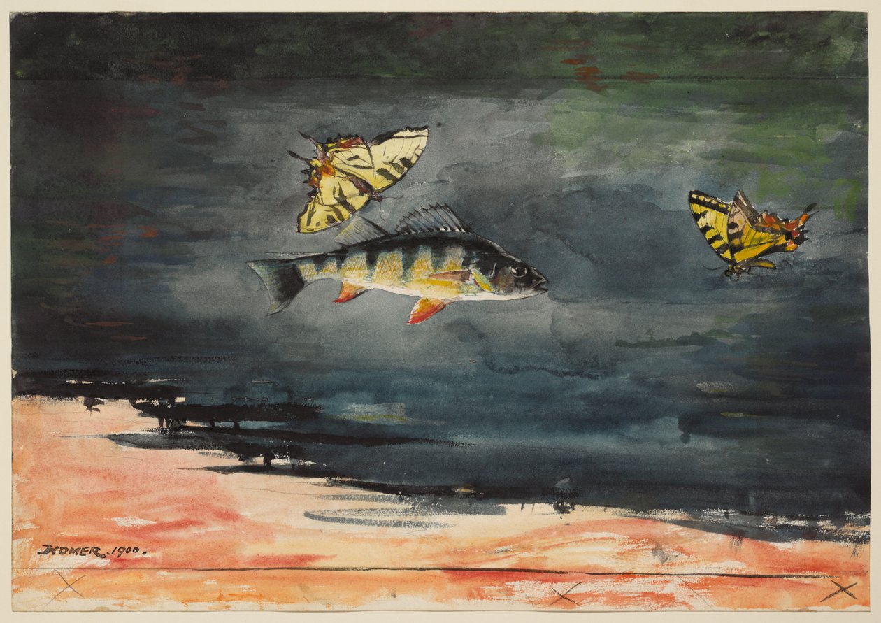Vissen en vlinders door Winslow Homer