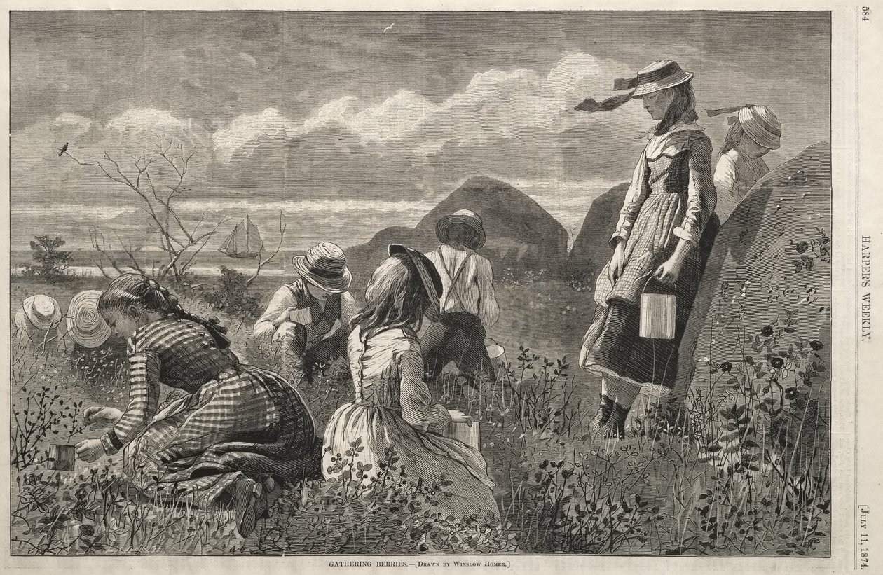 Bessen plukken door Winslow Homer