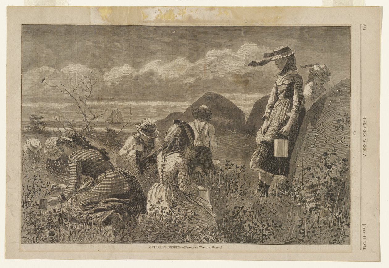 Bessen plukken door Winslow Homer