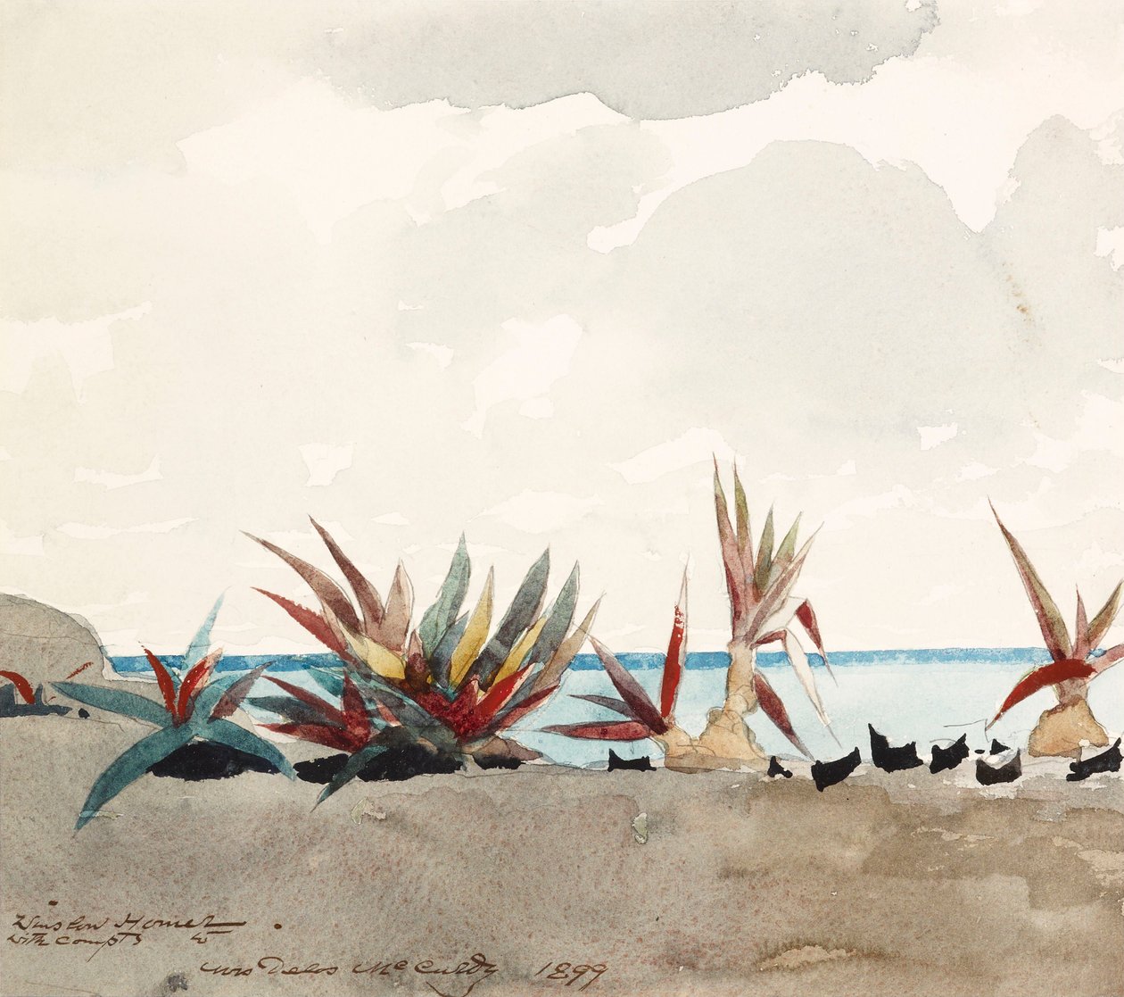 Nassau Beach met agaven door Winslow Homer