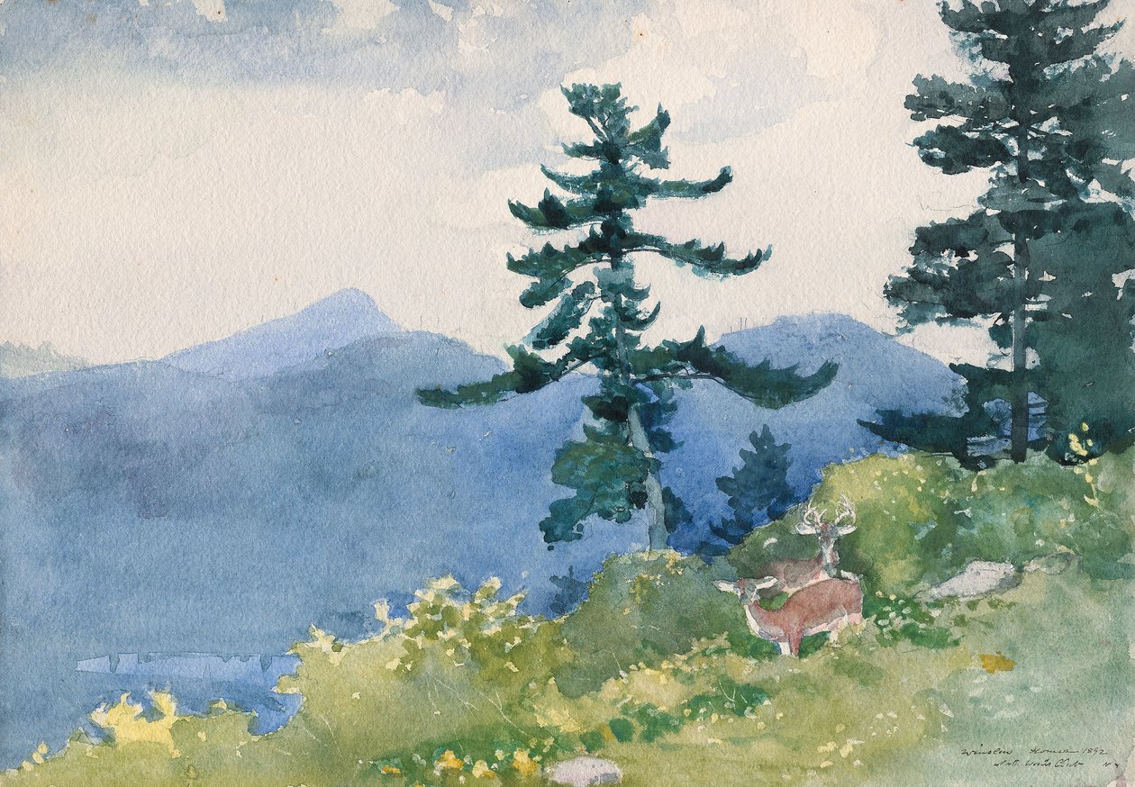 North Woods Club, Adirondacks (De Onderbroken Tete-a-Tete) door Winslow Homer