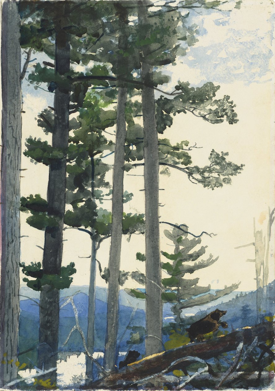 Oude kolonisten door Winslow Homer