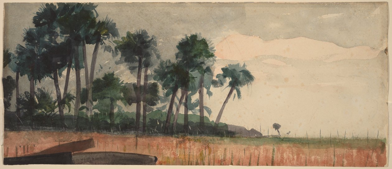 Rode palmbomen door Winslow Homer