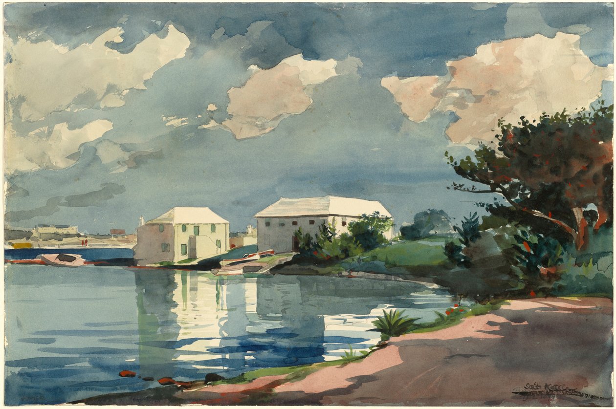 Zoutpan, Bermuda door Winslow Homer
