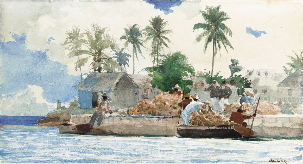 Sponsvisser, Bahama