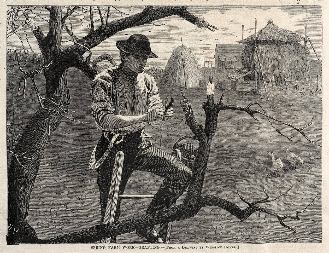 Landbouwwerkzaamheden in het voorjaar – Enten door Winslow Homer