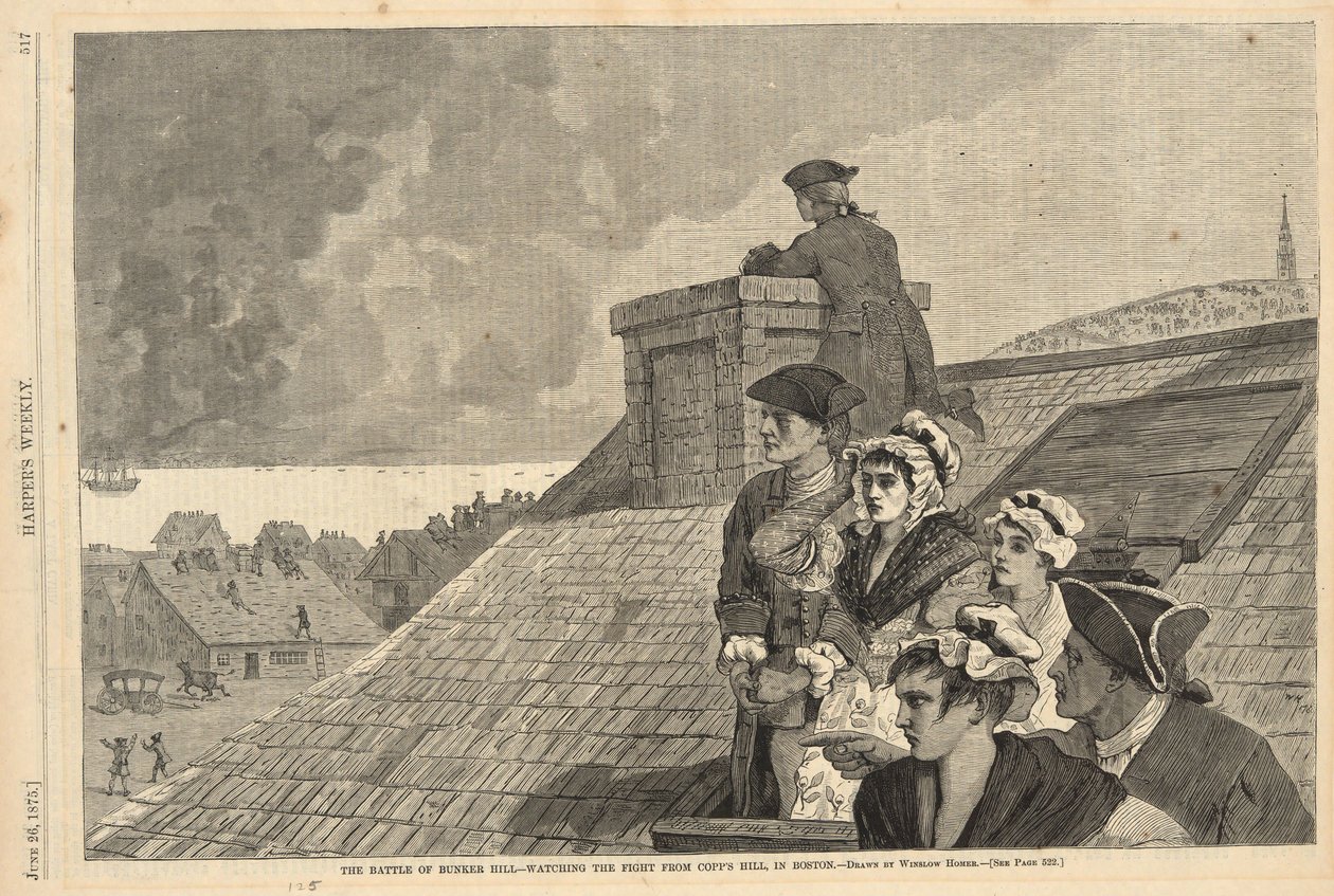 De Slag bij Bunker Hill - De vlucht bekijken vanaf Copp