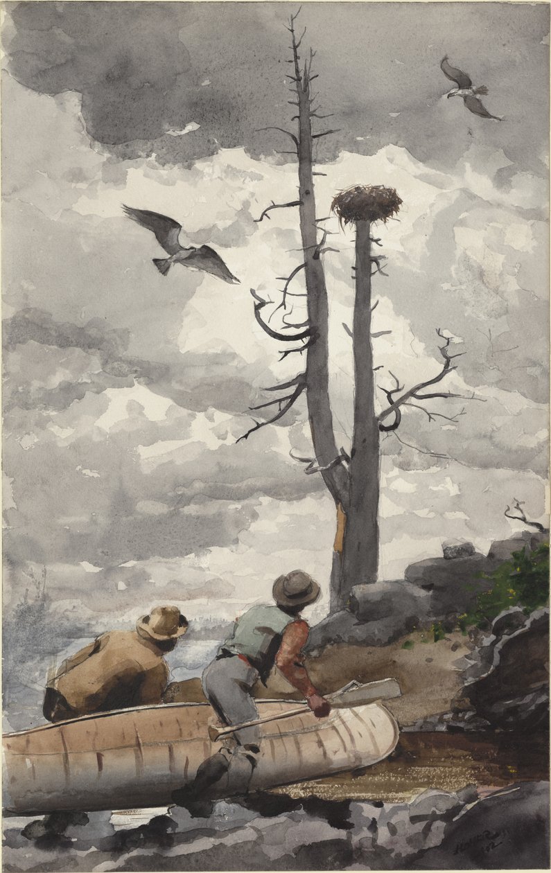 Het Adelaarsnest door Winslow Homer