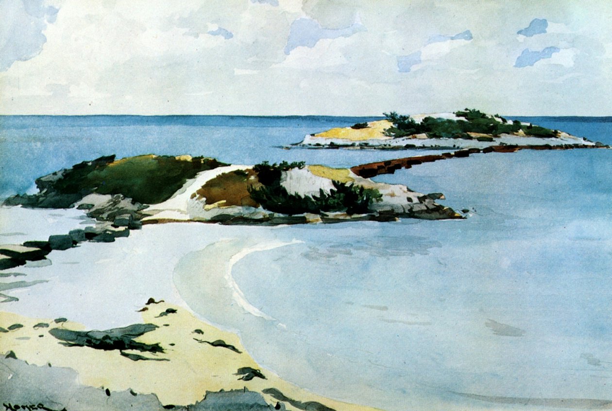 De favoriet, 1899-1901 door Winslow Homer