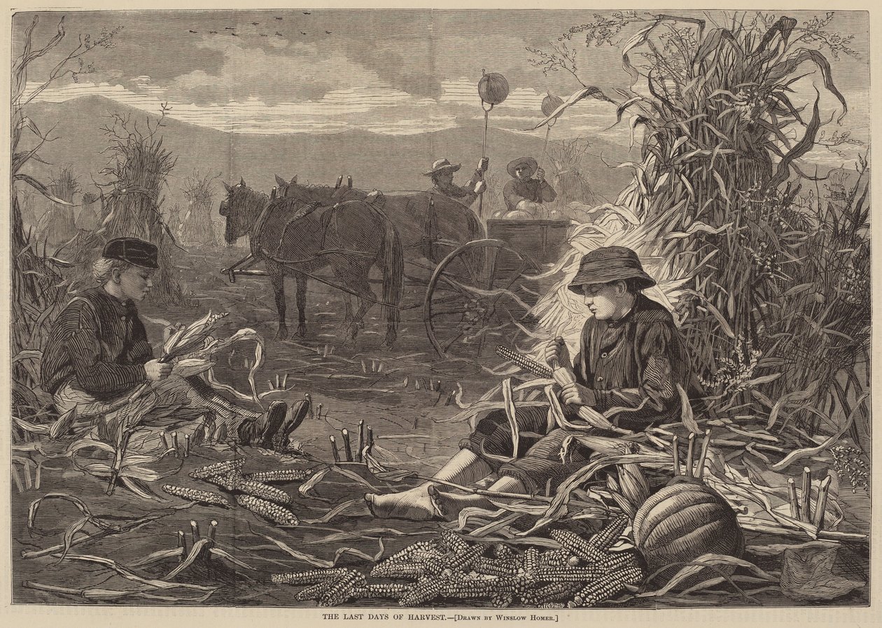De Laatste Dagen van de Oogst door Winslow Homer