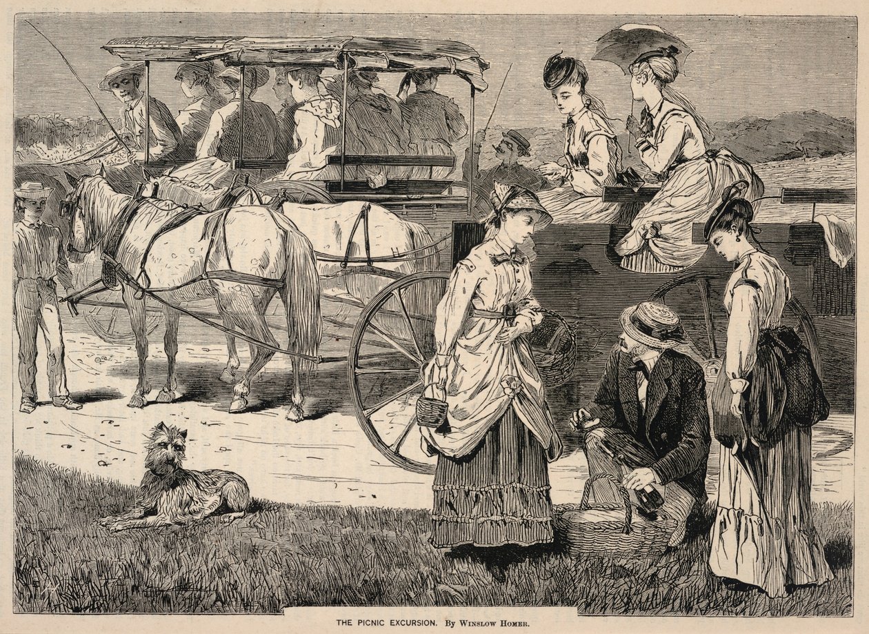 The Picnic Excursion, uit Appletons