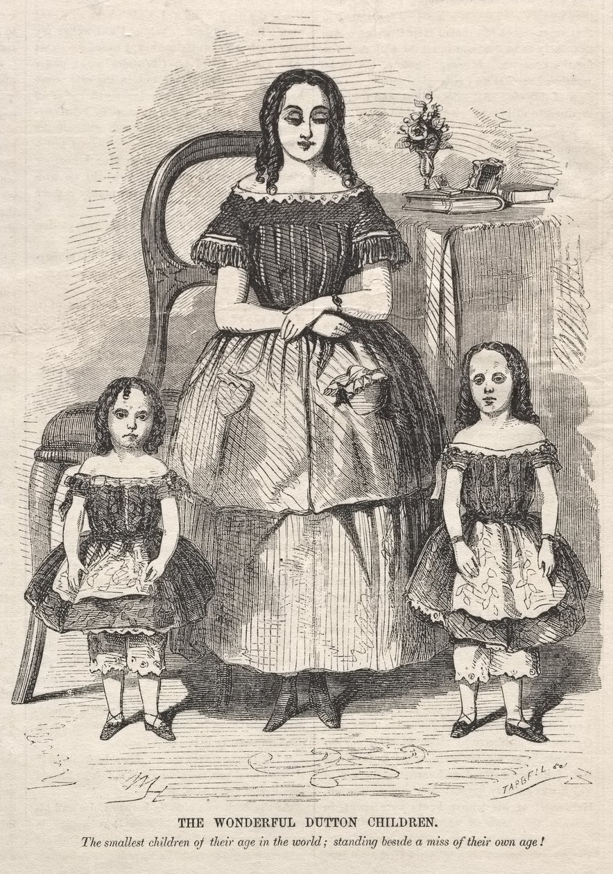 De geweldige kinderen van de familie Dutton door Winslow Homer