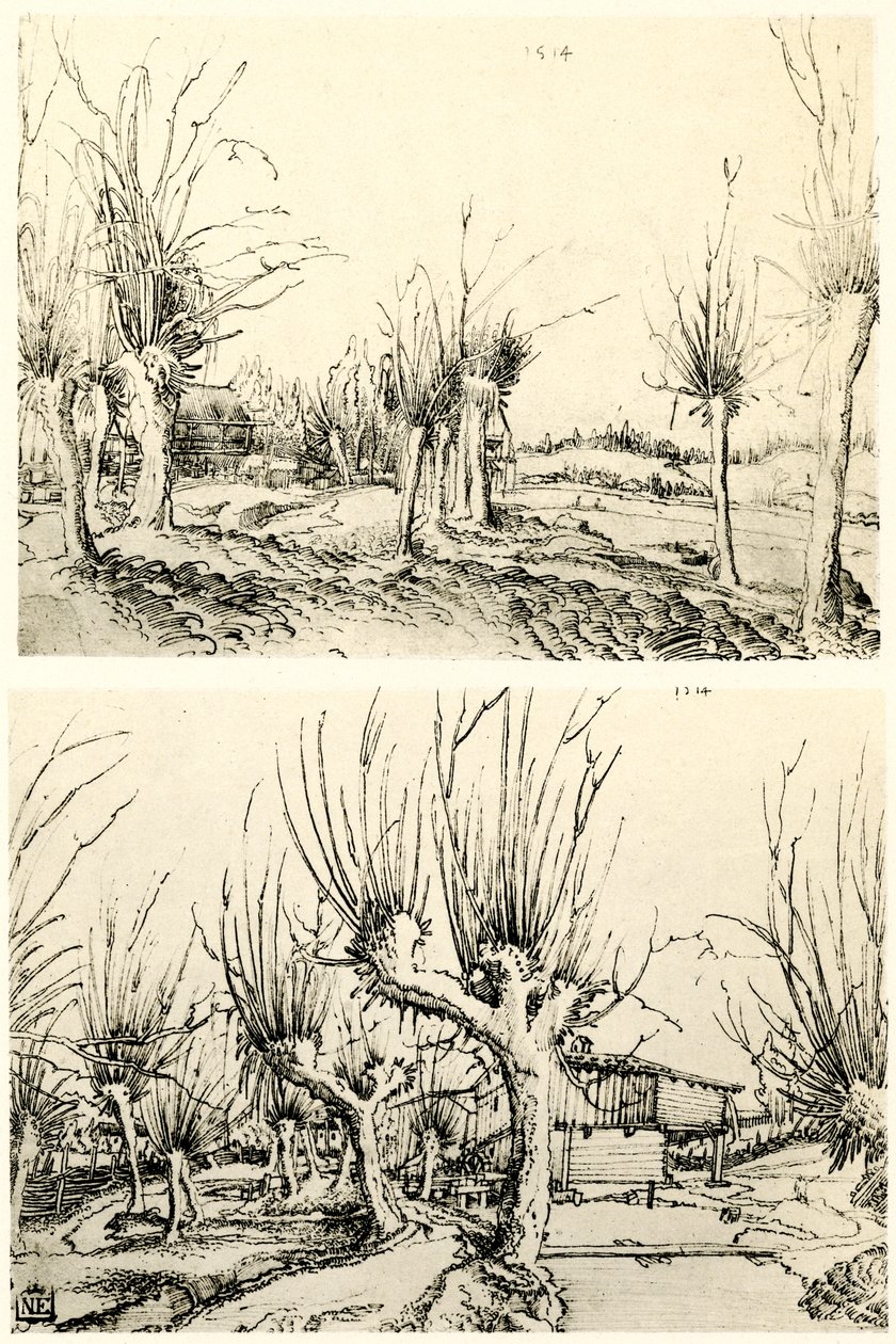 Landschappen met wilgenbomen door Wolf Huber
