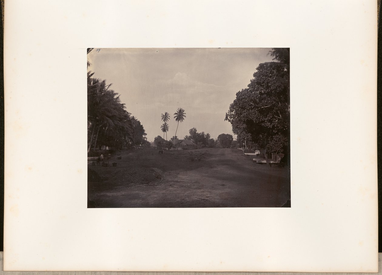 [Bestratingswerkzaamheden aan de weg in Prapatan, Batavia]. door Woodbury and Page