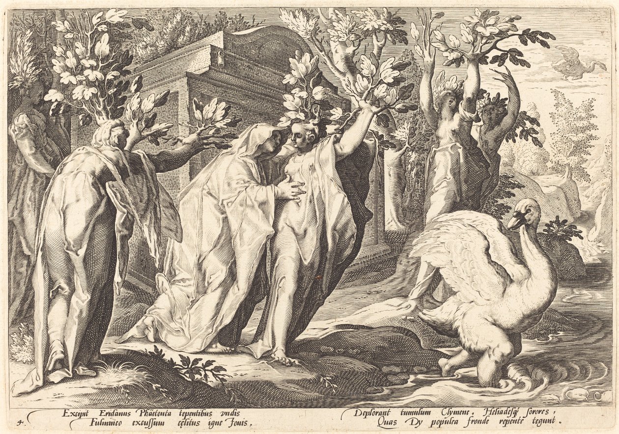 Phaetons Zusters Veranderd in Populieren, Cygnus in een Zwaan door Workshop of Hendrick Goltzius, after Hendrick Goltzius