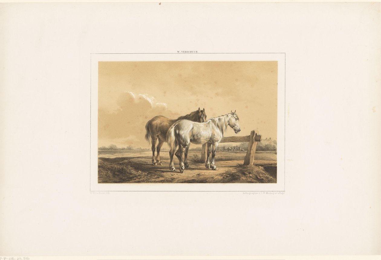 Twee paarden in een wei bij een hek door Wouter  Verschuur
