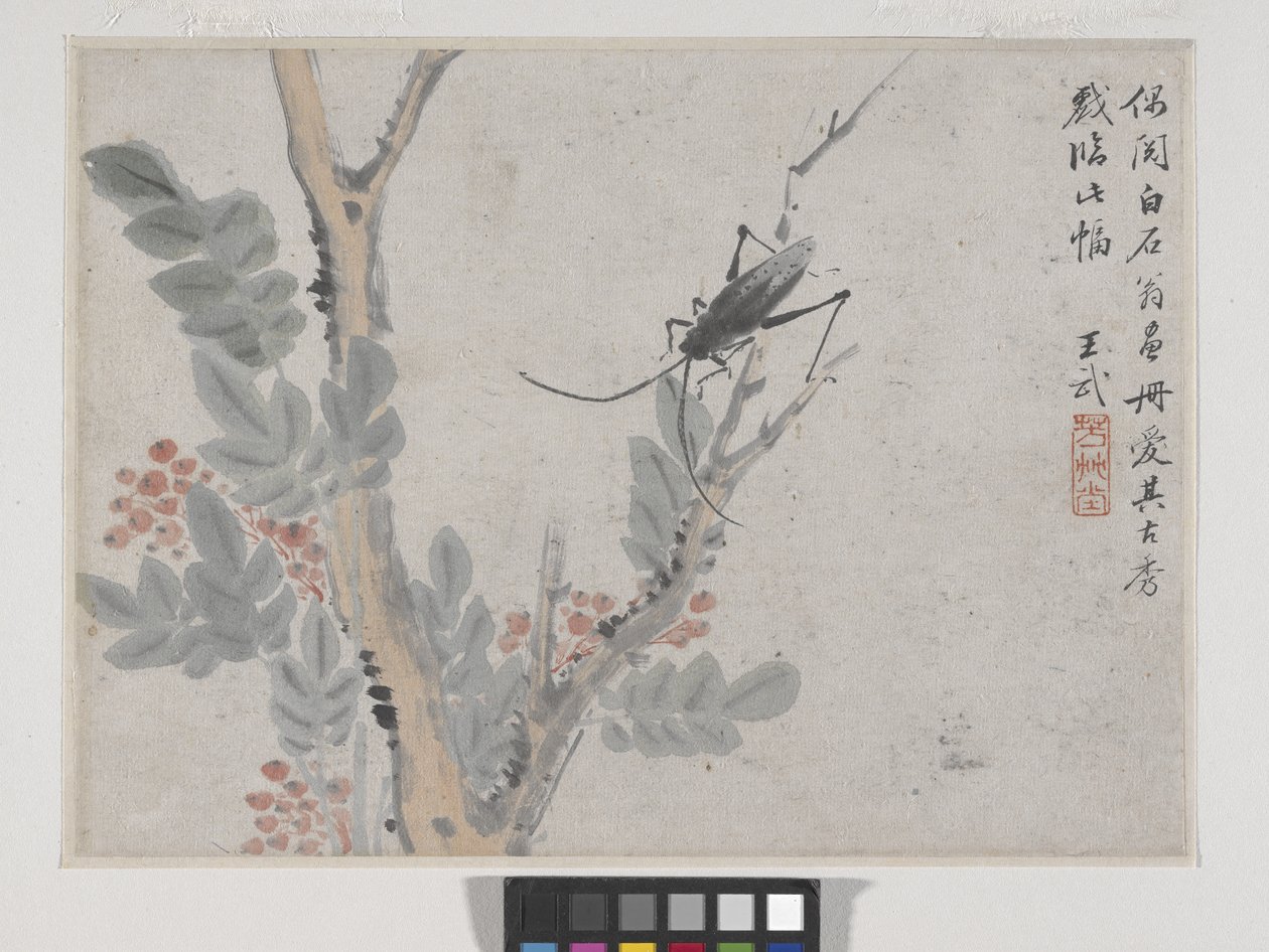 Insect en Boom na Shen Zhou door Wu Wang