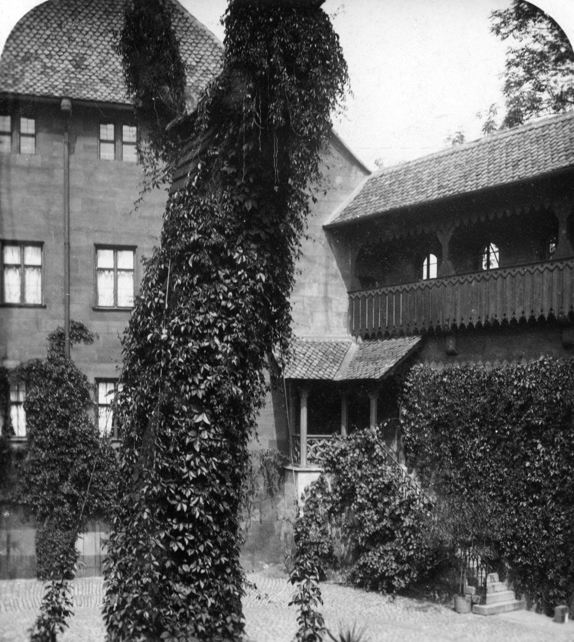 Lindeboom in een binnenplaats, Neurenberg, Beieren, Duitsland, c1900s door Wurthle and Sons