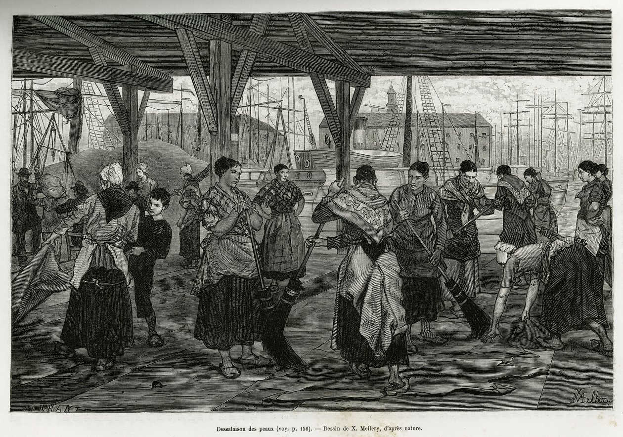 Ontzouting van de huiden, door vrouwen die de resten van de beesten schrapen onder de structuren van de hallen van de haven van Antwerpen. Gravure door X. Mellery, ter illustratie van het verhaal van België, door Camille Lemonnier, gepubliceerd in Le tour  door Xavier Mellery