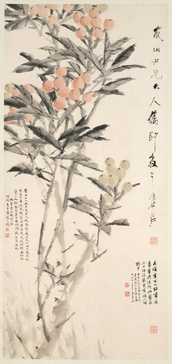 Pipa Loquats, c. 1888-89 door Xugu