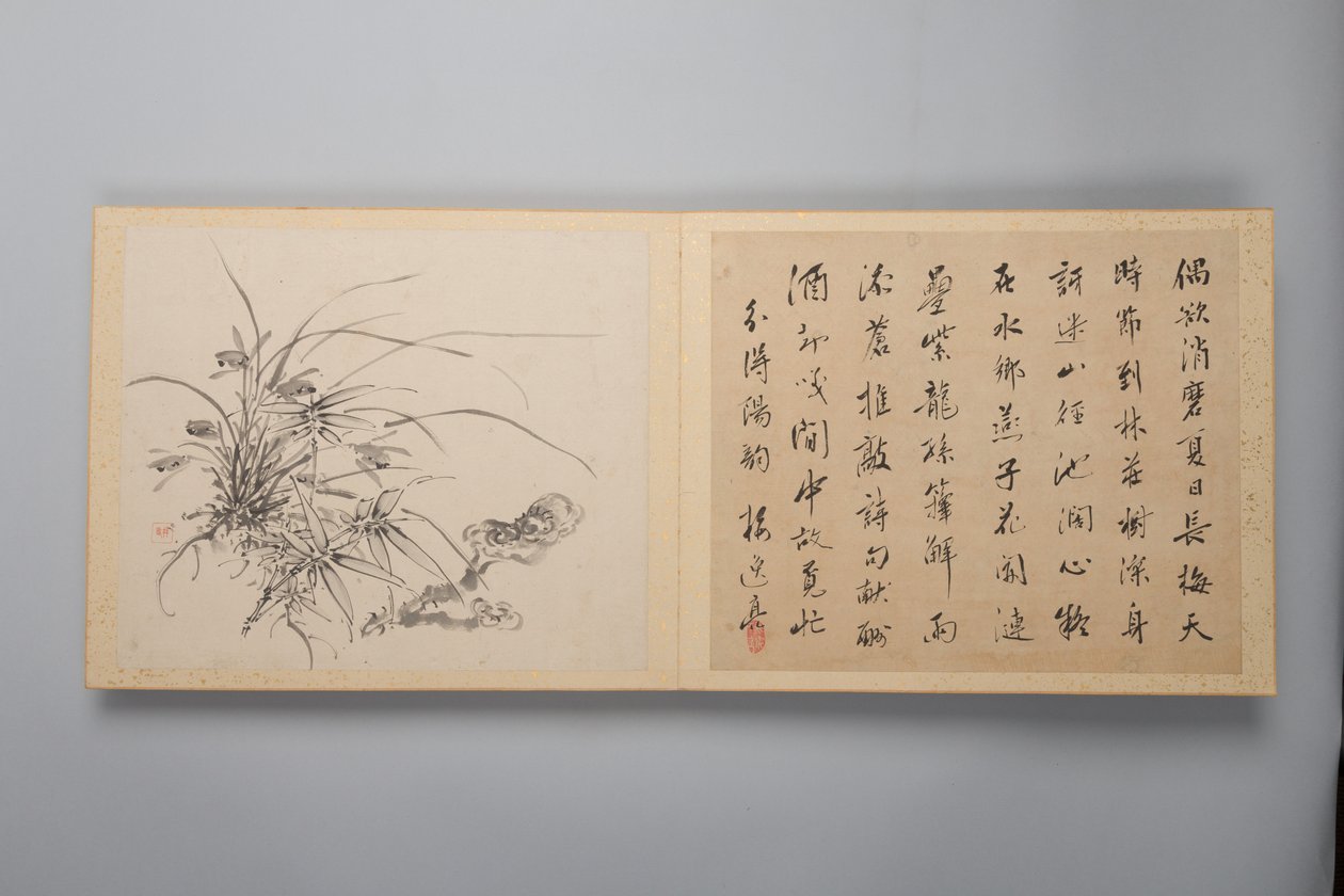 Verfijnde elegantie in de vier seizoenen Shiji seiga, Album van bloemenschilderijen door Yamamoto Baiitsu