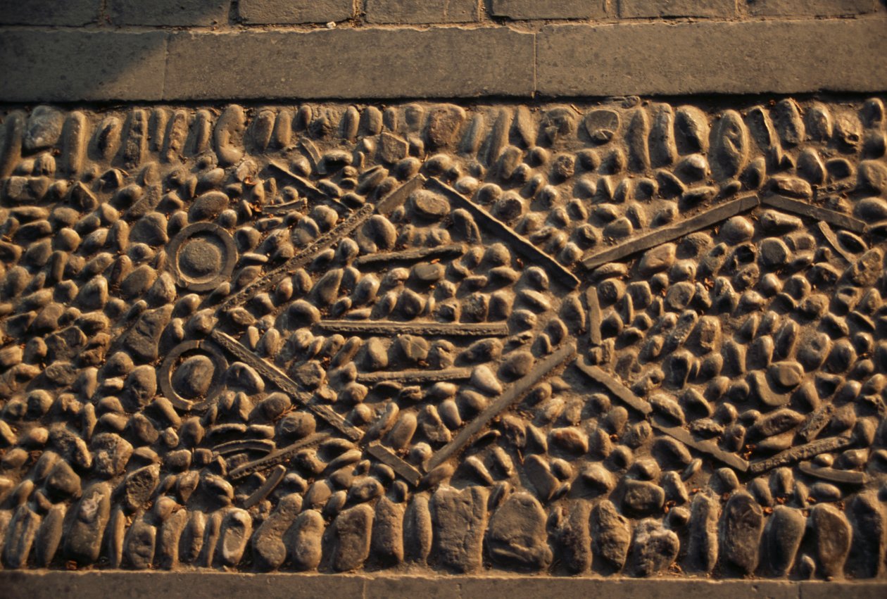 Kikker, mozaïekvloer in Zomerpaleis (Unesco Werelderfgoedlijst) door William Walcutt