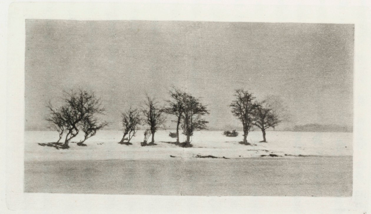 Knoestige doornbomen door Frederick (attr. to) Barnard